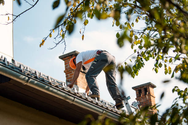 Best Green or Eco-Friendly Roofing Solutions  in Port Angeles East, WA