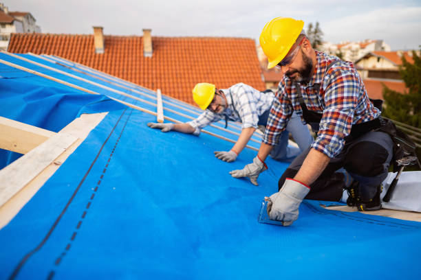 Best Cold Roofs  in Port Angeles East, WA